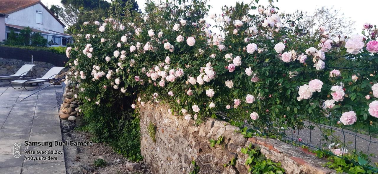 La Medeenne Alairac Buitenkant foto